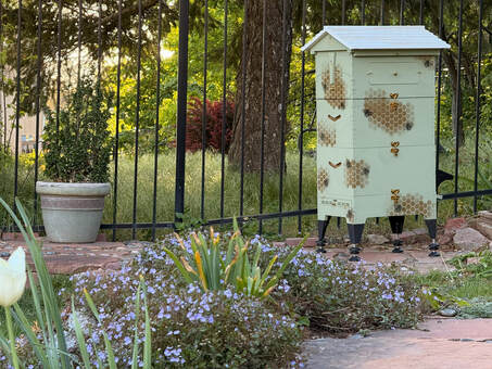 Flow Hive Picture